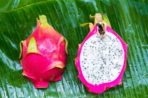 Ripe Dragon Fruit On A Wet Green Leaf Vitamins Fruits Healthy Foods