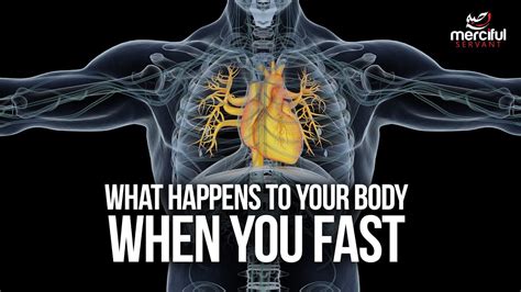 What Happens To Your Body When You Fast Vidéo Playzz