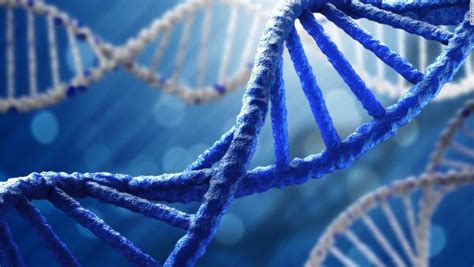 Diferencia entre ADN y ARN SOLUCIÓN