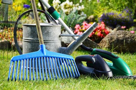 Most Essential Gardening Tools And Equipment For Beginners