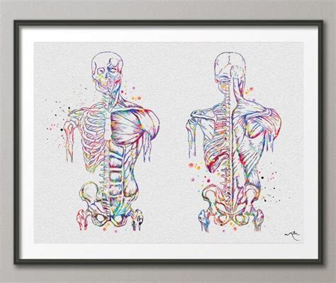 Muscular Art Watercolor Print Human Body Anatomy Art Medical Etsy