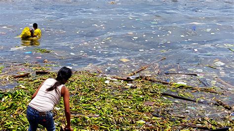 Philippines Launches Massive Effort To Clean Manila Bay · Giving Compass