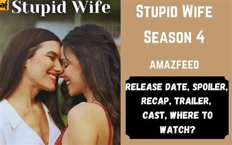 Stupid Wife Season 4 Release Date Spoiler Recap Trailer Where To Watch And More Amazfeed