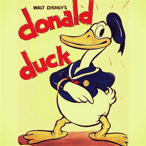 Happy Birthday Donald Duck Celebrating 80 Years Old But Looking
