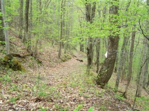 This charming cabin is well decorated and roomy enough for two queen beds. Husk Ridge Road, Mt. Zion, WV 26151 (For Sale NYStateMLS ...