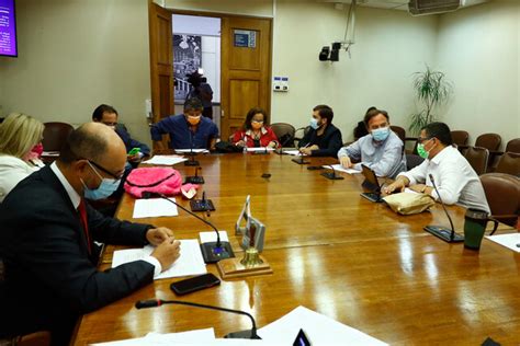 .inició hoy en el congreso, con respecto al tercer retiro del 10%. Tercer retiro del 10%: Comisión de Constitución de la ...