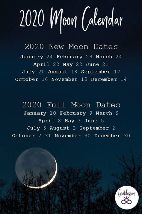 Moon facts and lunar days description. Here are the dates of every New Moon and Full Moon in 2020 ...
