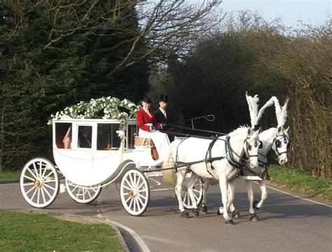 carlton carriages horse drawn carriage hire   occasions