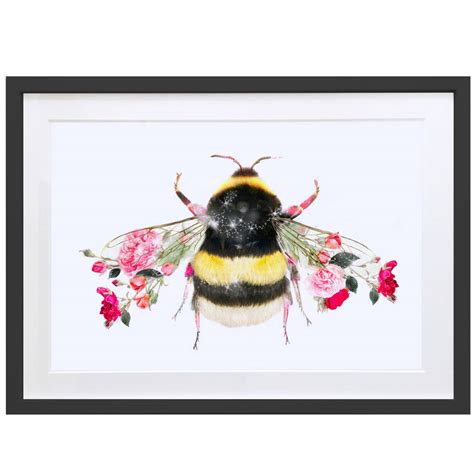 Bumble Bee Wildlife Botanical Art Print By Lola Design Ltd