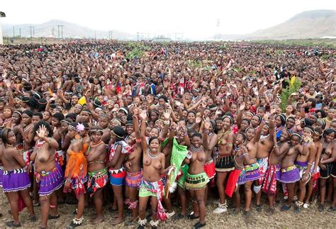 South African Reed Festivalphotos Bing Images Zulu Zulu Dance