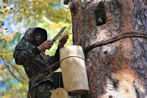 Фотогалерея - Вид категории: Бортевое пчеловодство башкир деревни ...