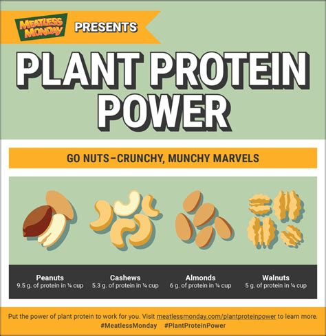 Plant Protein Power Meatless Monday