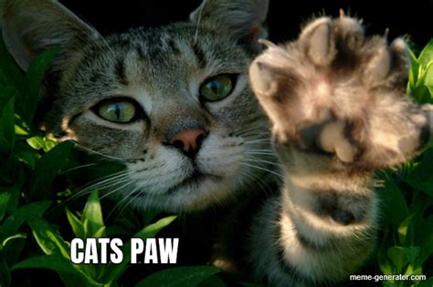 Cats Paw Meme Generator