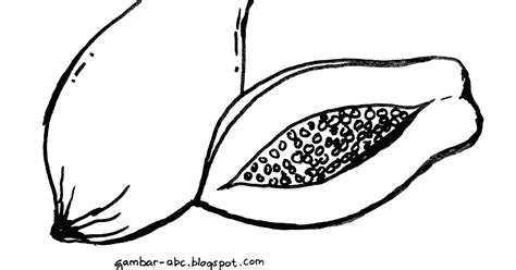 Maybe you would like to learn more about one of these? Gambar Buah Oren Hitam Putih - Selain itu dengan ...