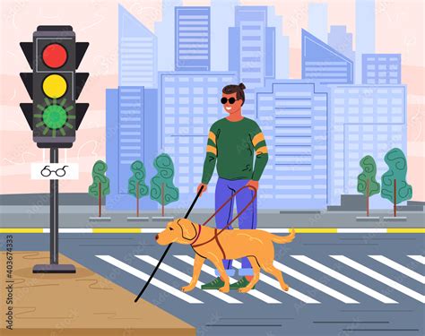 Blind Man And His Dog On A Pedestrian Crossing In Town As They Walk
