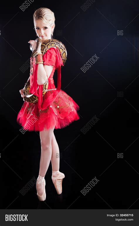 beautiful ballerina image and photo free trial bigstock