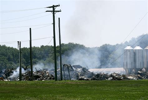 Nearly 300000 Chickens Killed In Egg Farm Fire See The Aftermath