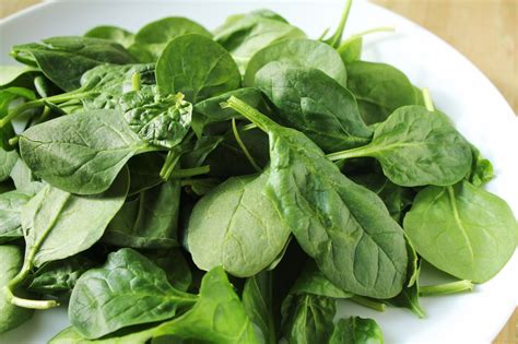 Unfortunately, giving cats spicy foods can potentially make them seriously ill. Meet the Greens - Delicious as it Looks