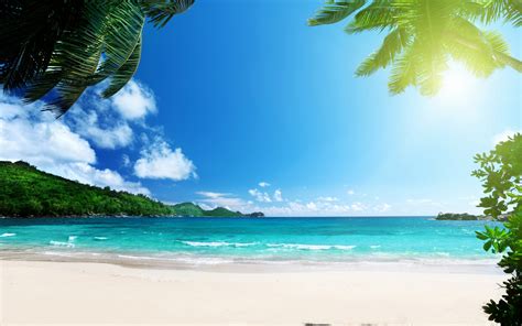 Tropics Beach Palms Sea Islands Sun Stunning Caribbean Sea