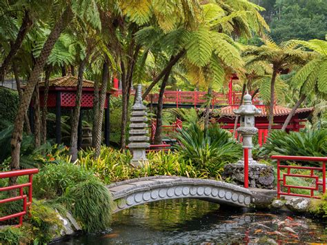 22 Tropical Garden Designs Decorating Ideas Design