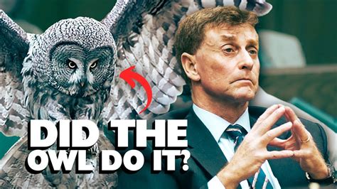 The Staircase Owl Theory Is There Anything To It Youtube