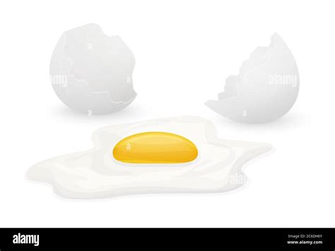 Cracked Broken Egg Isolated On White Background Stock Vector Image