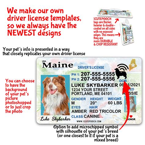 Maine Driver License Custom Pet Id Tag And Wallet Card 1 Cute Pooch