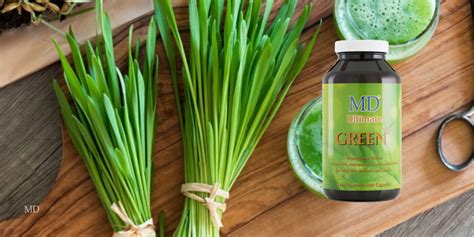 It has diuretic properties known to be useful for urinary infections or heavy water retention. 4 Benefits of Barley Grass Powder https://www.facebook.com ...