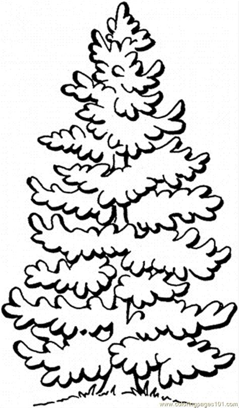 Although all trees have significance to life, there are some species which are more common, such as the pine trees. Coloring Pages Pine Tree 1 (Natural World > Trees) - free ...