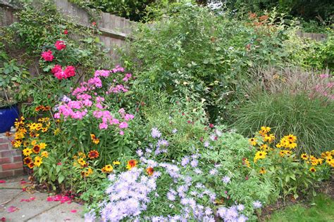 a gorgeous cottage flower bed flower beds caroline anna favorite places cottage gardening