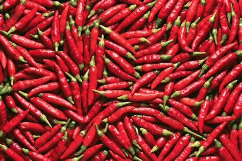 The Science Of Hot Chili Peppers Jstor Daily
