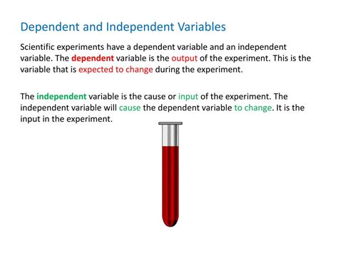 Ppt Dependent And Independent Variables High School Physical Science