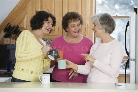 Drie Het Volwassen Vrouwen Spreken Stock Afbeelding Image Of Roddel
