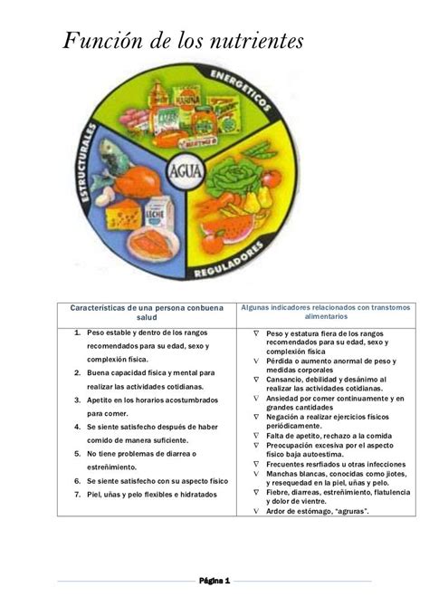 Función De Los Nutrientes