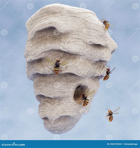 Beehive Hornets Or Wasp Nest Cartoon Vector Illustration