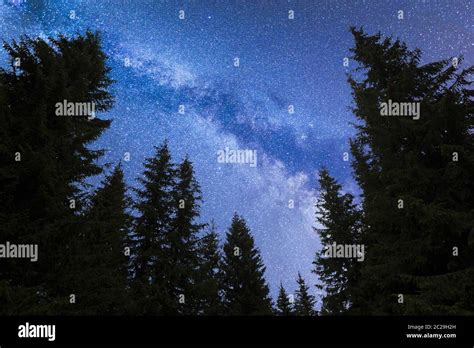 Blue Milky Way Falling Stars Pine Trees Silhouette Stock Photo Alamy