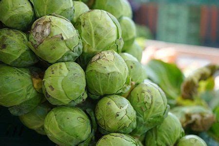 Temps de cuisson des choux de Bruxelles au cookeo Healthy Tips Healthy