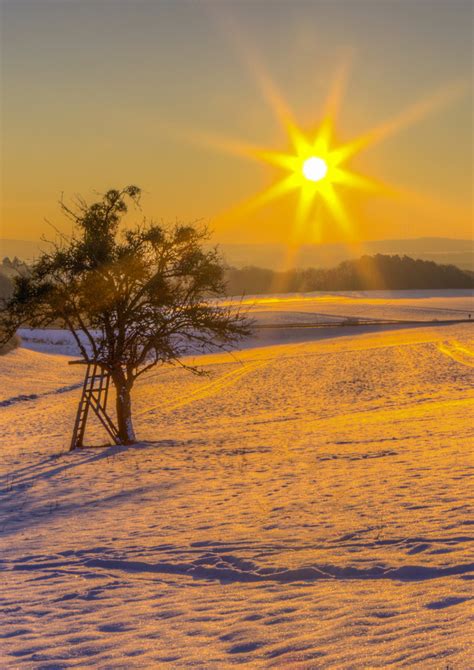 Blick.ch bietet ihnen aktuelle nachrichten und analysen zum thema. Sonnenaufgang Foto & Bild | sonnenuntergang, bäume, winter ...