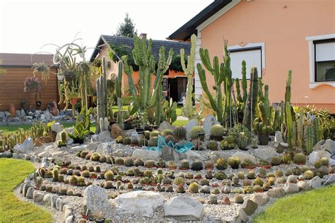 11 Ways To Use Cactus To Enhance Your Landscaping