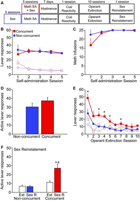 Concurrent But Not Non Concurrent Meth Self Administration And Sex Download Scientific