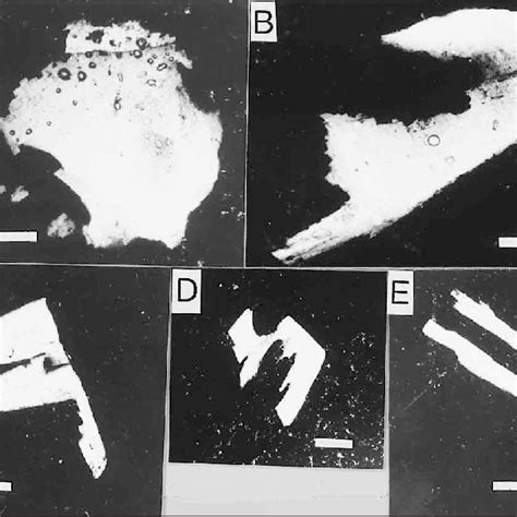 Cross Polarized Light Photomicrographs Of Experimentally Impacted