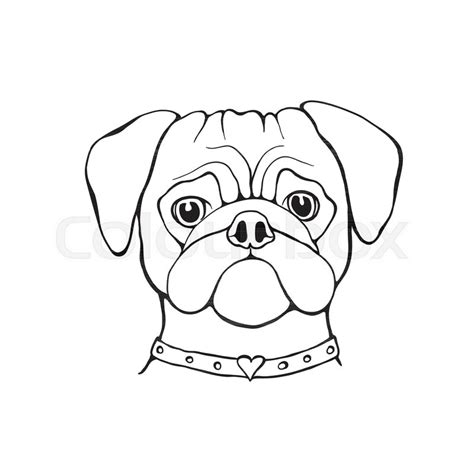 Hey everyone, here's a new dog tutorial which focuses on the head. Head Dog pug hand-painted portrait. ... | Stock vector ...