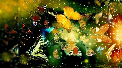Abstract Butterflies Desktop Wallpapers Top Free Abstract Butterflies