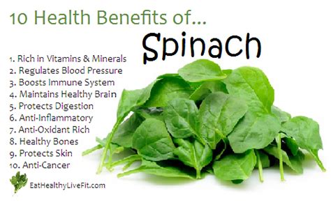 Rainbowdiary Health Benefits Of Spinach
