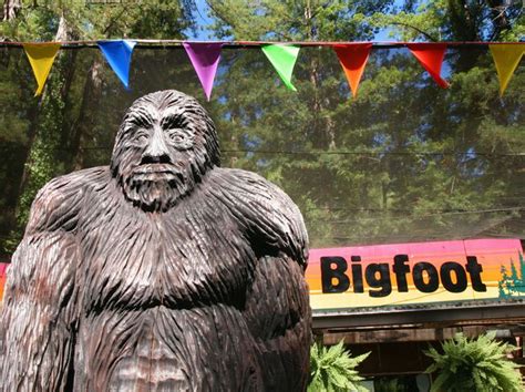 Bigfoot Sightings Is Bigfoot Real