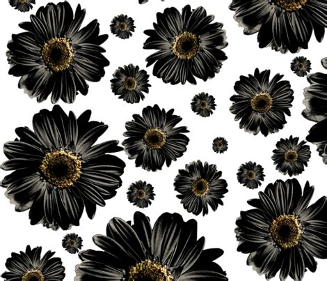 Black Daisies fabric - ophelia - Spoonflower