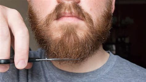 how to trim a beard with scissors and not screw it up