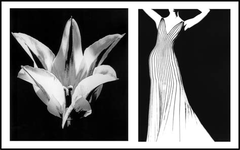 Lillian Bassman Reflections Exhibitions Staley Wise Gallery