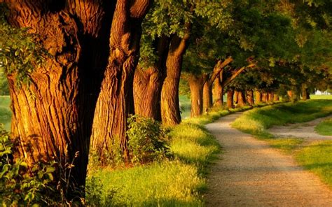 Relaxing Backgrounds Hd Pixelstalknet