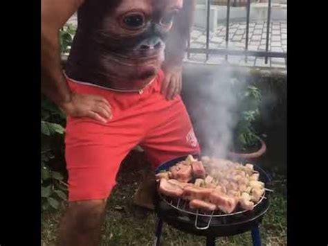 ✔ free shipping ✔ cash on delivery ✔ best offers Monkey shirt blows fire - YouTube